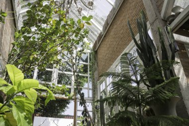 İç dekorasyon yeşil eko çevre tarzı