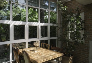 İç dekorasyon yeşil eko çevre tarzı