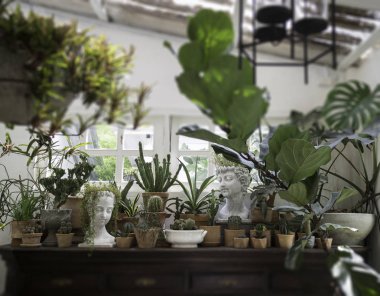 Dekorasyon oturma odası iç stil yeşil eko çevre wi