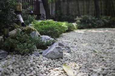 Küçük japon tarzı kaya bahçesi