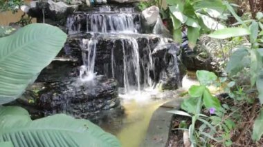 Bahçede küçük şelale modeli, stok görüntüleri