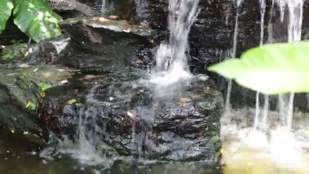 小瀑布装饰在池塘 股票镜头 — 图库视频影像