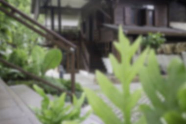 Güzel Tay vintage tarzı ev ve tropikal bahçe