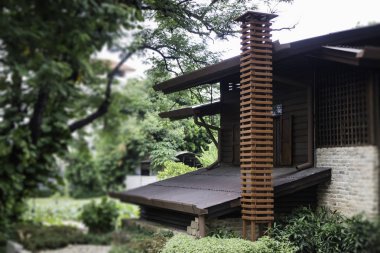 Güzel Tay vintage tarzı ev ve tropikal bahçe