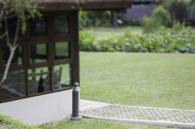 Yaz aylarında patika ile güzel bahçe