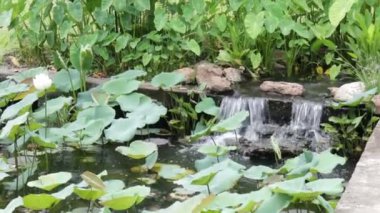 Peyzajlı oryantal bahçede Bahçe şelale, stok görüntüleri