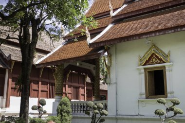 Chang Mai Wat Phra Singh Tapınağı, Tayland