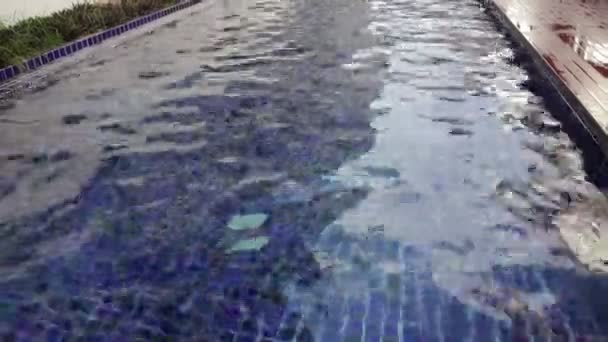 Acqua Pulita Della Piscina Riprese Stock — Video Stock