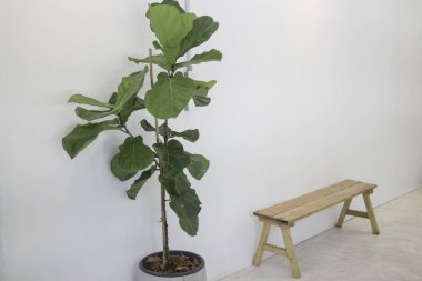 Oturma odası iç tasarım minimal tarzı