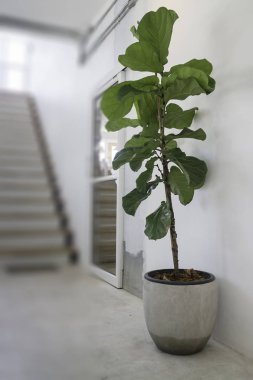 Oturma odası iç tasarım minimal tarzı