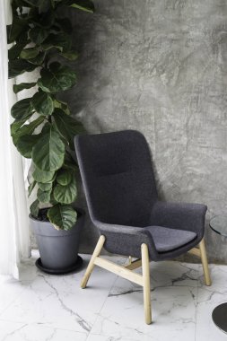 Tropikal yeşil ağaç iç oturma odası