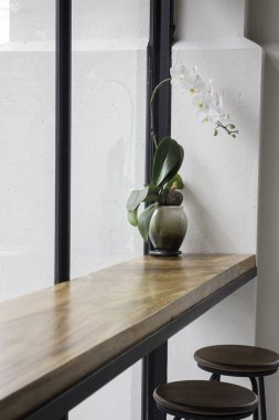 Vazoda güzel çiçekler orkide