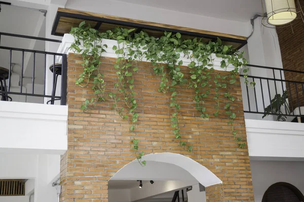 Урожай підвісні лампи прикрашені на стелі кімнати — стокове фото