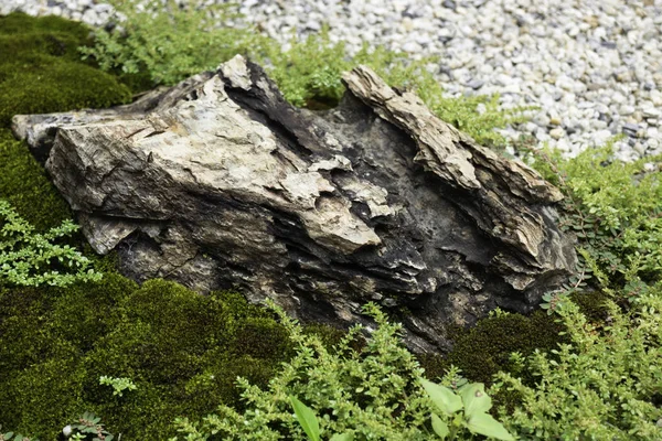Paisagismo de pedra natural em casa jardim — Fotografia de Stock