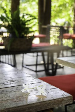 Yazlık bahçede tahta koltuklar.