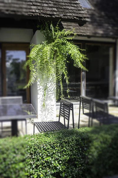 Asientos de madera al aire libre en el jardín de verano — Foto de Stock