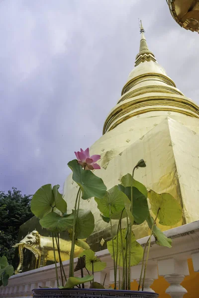 泰国清迈的Wat Pra Singh美丽的寺庙 — 图库照片