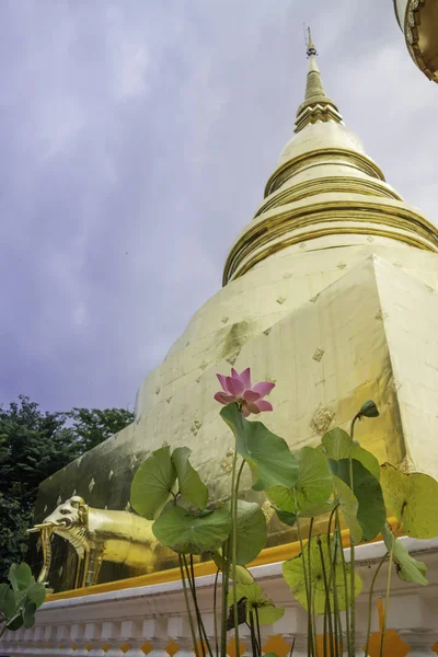 Wat Pra Singh belo templo em Chiang Mai, Tailândia — Fotografia de Stock