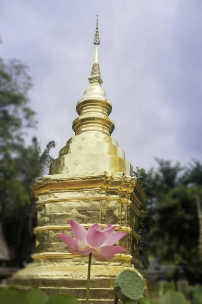 Wat Pra Singh belo templo em Chiang Mai, Tailândia — Fotografia de Stock