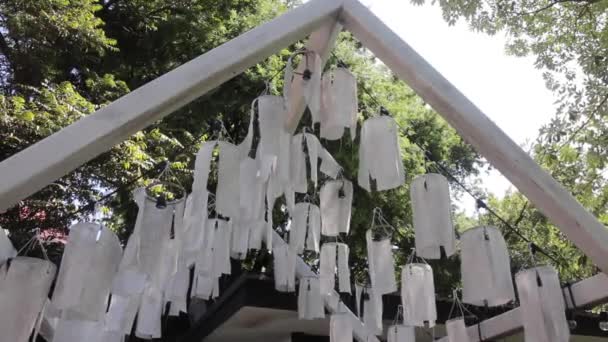 白い布と屋外の庭のアート ストック映像 — ストック動画