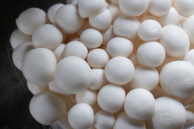 Asya mutfağı için çiğ Shimeji mantarı, stok fotoğrafı.