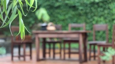 Rüzgarlı yeşil yapraklar, stok görüntüleri