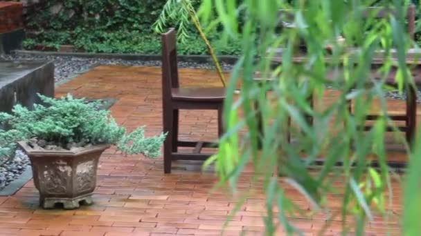 Moment Refroidissement Plein Air Jardin Images Stock — Video