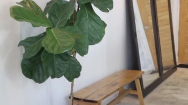 Yeni ve temiz çalışma odası, depo görüntüleri.