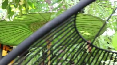 Bahçede dekore edilmiş güzel çömlek heykeli, stok görüntüleri.