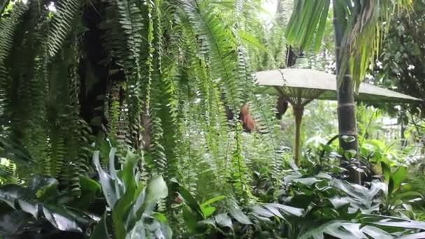 Usine de style tropical en station, images du stock