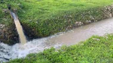 Bardaktan boşanırcasına yağmur yağdıktan sonra,