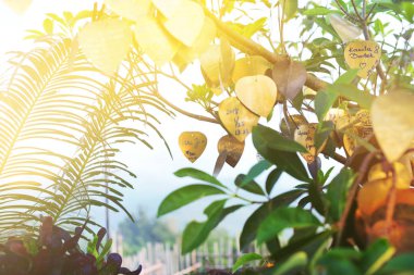 dini bronz isteği plaka dileklerimle. Tapınak Big Buddha yüksek tepenin Phuket Tayland. sabah ve yükselen güneş sakin