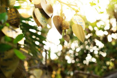 dini bronz isteği plaka dileklerimle. Tapınak Big Buddha yüksek tepenin Phuket Tayland. sabah ve yükselen güneş sakin