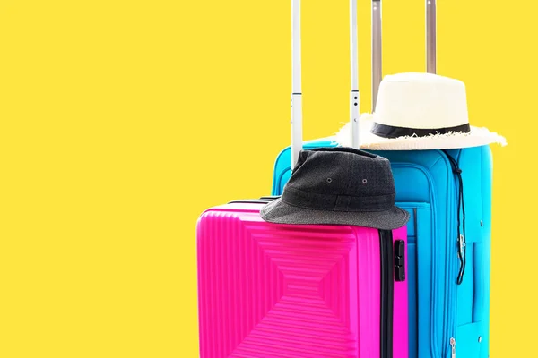 Blue Pink Trunks Summer Straw Hats Duas Malas Bagagem Viagem — Fotografia de Stock