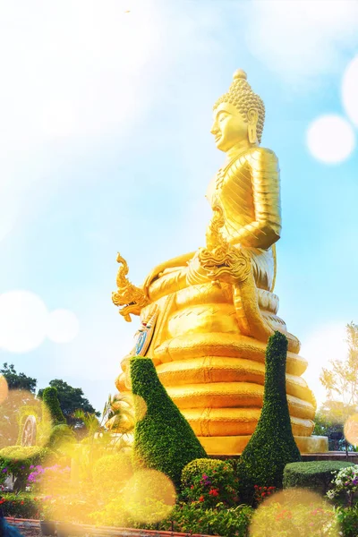 Statyn Guld Buddha Nära Big Buddha Hög Kulle Phuket Thailand — Stockfoto