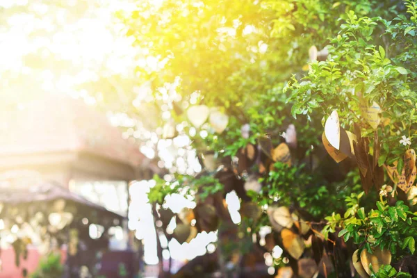 Religioso Bronzo Richiesta Piatto Con Desideri Albero Verde Nel Tempio — Foto Stock