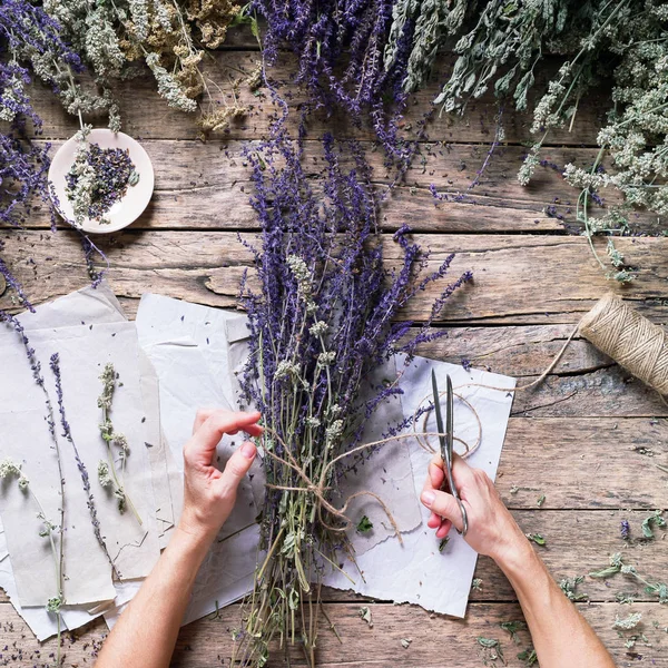 Mão Fêmea Amarrar Bunch Sage Urtiga Yarrow Hortelã Diferentes Alternativas — Fotografia de Stock