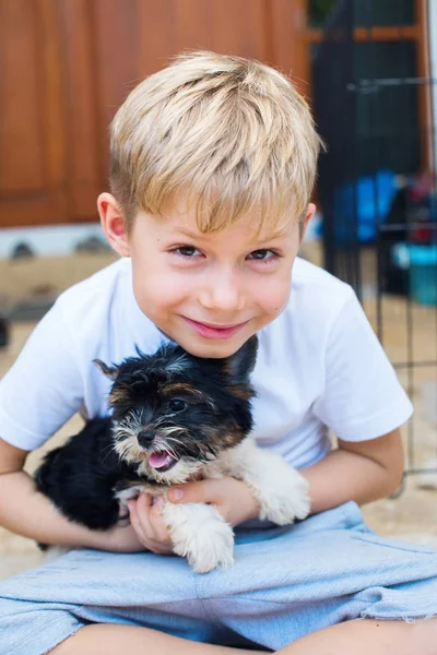Menino Caucasiano Feliz Amorosamente Abraça Cachorro Raça Pura Biewer Yorkshire — Fotografia de Stock