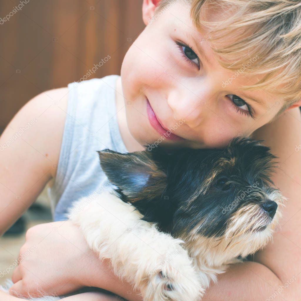 Happy caucasian boy lovingly embraces puppy purebred Biewer Yorkshire terrier pet Small size breed dog long wool Latin name Canis lupus familiaris Origin Germany. Decorative doggie Summer day Toned