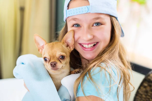 Portret Zâmbitor Adolescenta Fata Joc Mic Chihuahua Câine Acasă — Fotografie, imagine de stoc