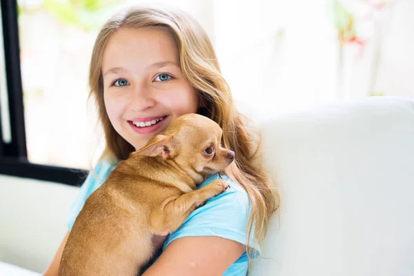 Retrato Sonriente Adolescente Chica Sosteniendo Pequeño Adulto Chihuahua Perro Casa — Foto de Stock