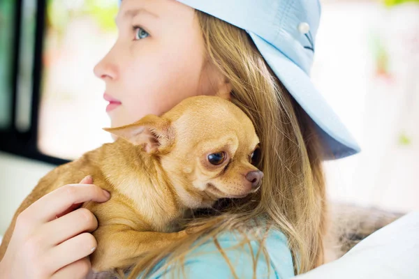 Portrait Teenager Girl Playing Small Chihuahua Dog Home — Stock Photo, Image
