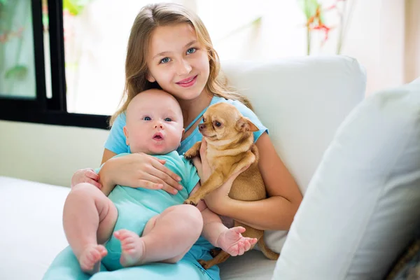 Portrait Happy Elder Sister Make Foto Younger Brother Cute Chihuahua — Stock Photo, Image