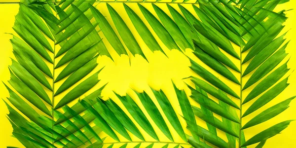 Tropical Cut Palm Leaves Frame Fundo Amarelo Flat Lay Top — Fotografia de Stock