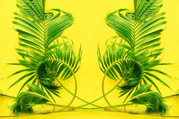 抽象植物几何对称装饰热带棕榈叶黄色背景平面放置顶部视图横幅对称 — 图库照片