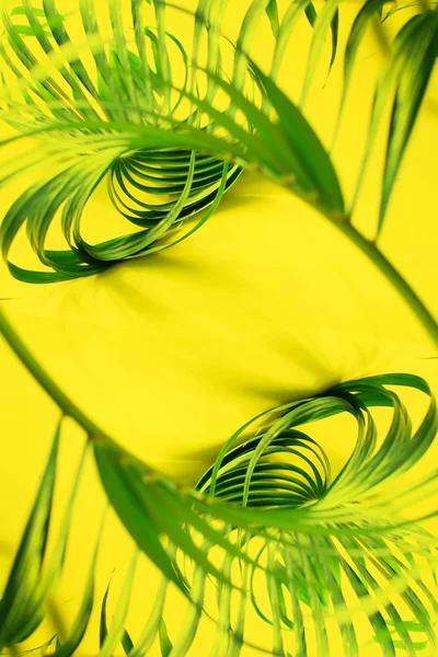 Παραλλαγές Τροπικό Μπούκλες Palm Φύλλα Κίτρινο Φόντο Επίπεδη Βάζει Top — Φωτογραφία Αρχείου
