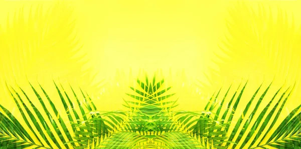 Variaciones Tropical Palm Leaves Yellow Background Flat Lay Top View —  Fotos de Stock