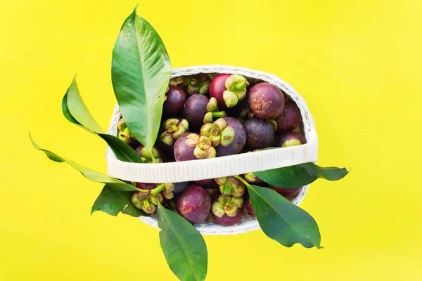 タイの黄色背景生を食べる概念夏シーズン ローカル食品 白いバスケットにトロピカル フルーツの葉とマンゴスチン — ストック写真