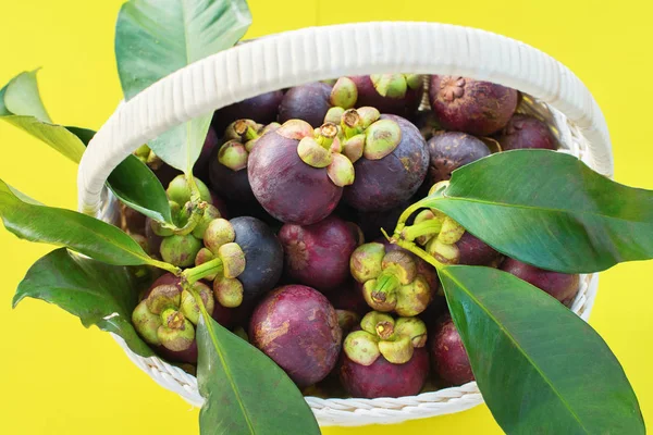 タイの黄色背景生を食べる概念夏シーズン ローカル食品 白いバスケットにトロピカル フルーツの葉と Mangostan — ストック写真