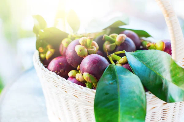 Mangostan Mit Blättern Weißen Korb Tropische Früchte Rohkost Konzept Sommerzeit — Stockfoto